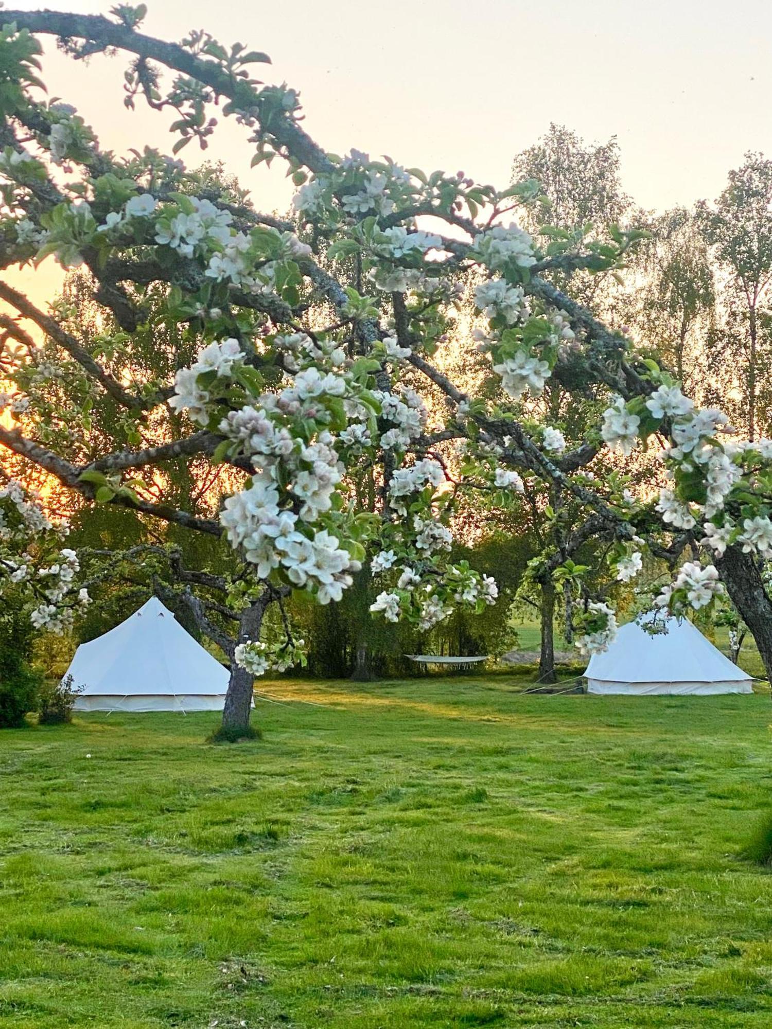 Soerby Glamping Hotel Klockrike Buitenkant foto